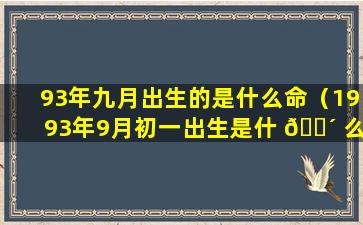 93年九月出生的是什么命（1993年9月初一出生是什 🐴 么命）